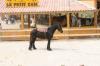Ranch Le Petit Sam