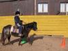 Ranch Le Petit Sam