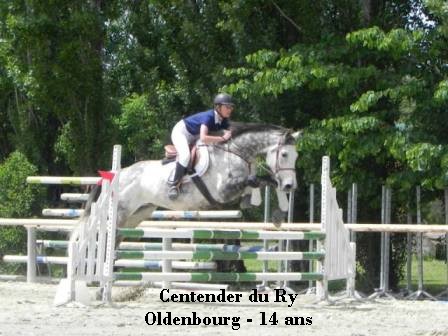 demi pension pension cheva cso concours dressage centender du ry