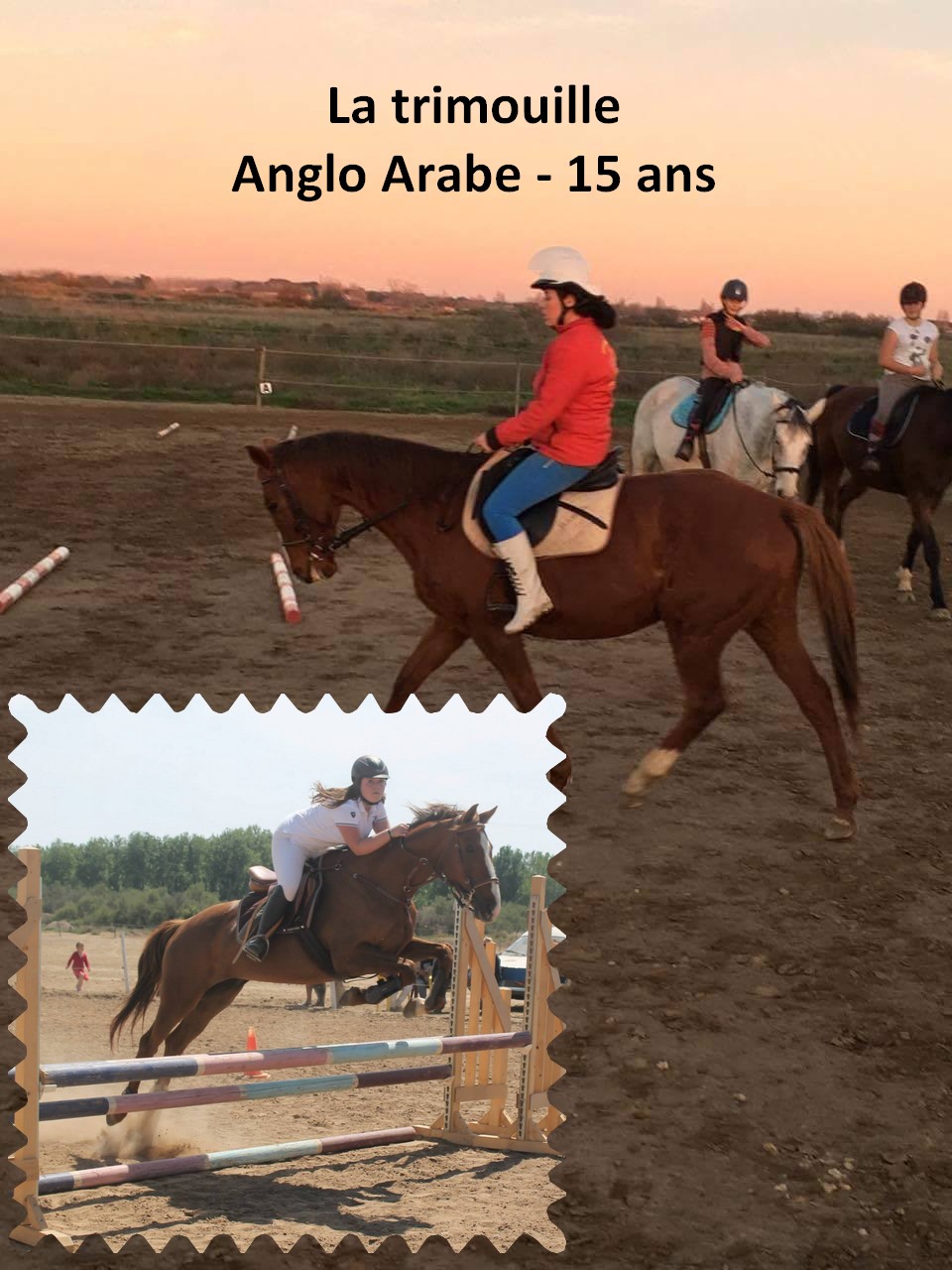jument cso dressage concours obstacle serignan plage beziers