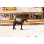 1-5-ranch01-05-2010.jpg